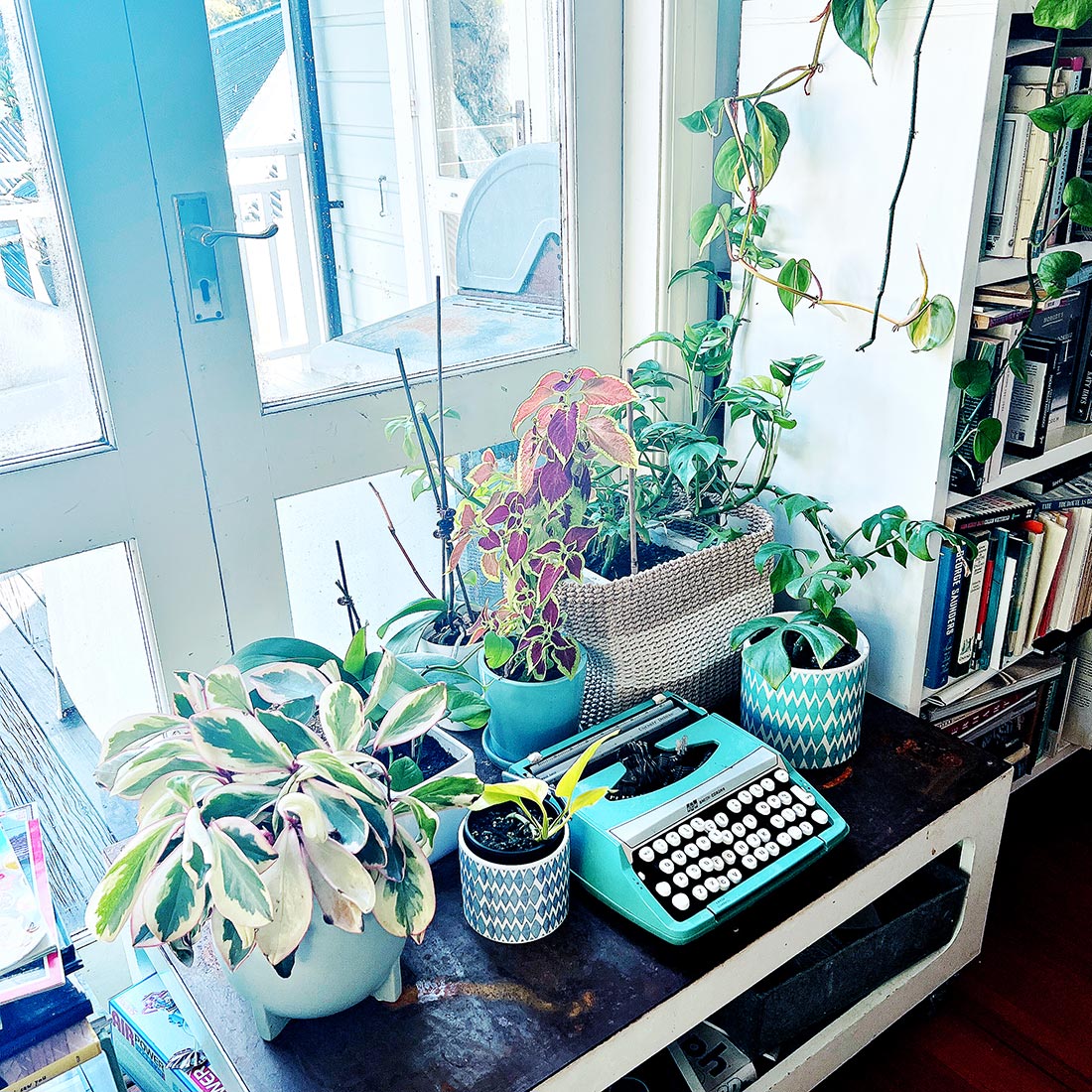 My office windowsill