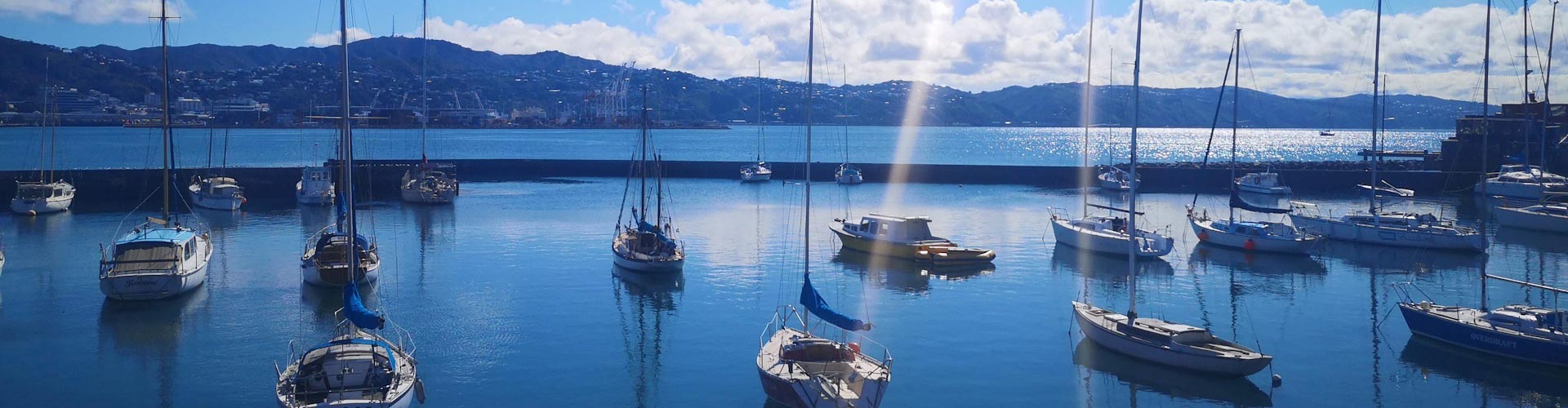 Wellington harbour on a sunny day
